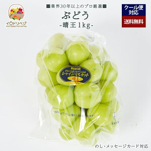 y2025N \tzuIvuh VC}XJbg 1kgZbg 2`3[ yr[ Tz蕨 Mtg v[g 肪Ƃ j j  a