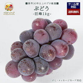 【2025年 予約受付中】「厳選」こだわり巨峰 1kgセット ★大粒★【レビュー 特典】贈り物 ギフト プレゼント ありがとう お祝い 内祝い 結婚 誕生日 景品 季節 旬 果物 フルーツ ぶどう おしゃれ