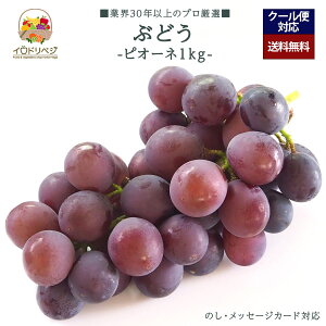 y2026N \tzuIvsI[l 1kgZbg 嗱yr[ Tz蕨 Mtg v[g 肪Ƃ j j  a ii G { ʕ t[c Ԃǂ 