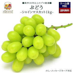 y\tzuIvuh VC}XJbg 1kgZbg 2`3[ YnIyr[ Tz蕨 Mtg v[g 肪Ƃ j j  a