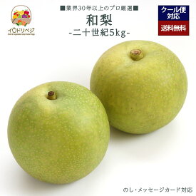 【来期 予約受付中】「厳選」旬の和梨 5kgセット ★20世紀 梨★【レビュー 特典】贈り物 ギフト プレゼント ありがとう お祝い 内祝い 結婚 誕生日