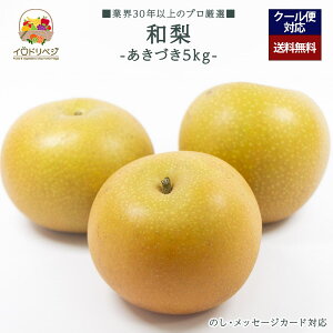 y2025Noח\zuIv{̘a 5kgZbg Â yr[ Tz蕨 Mtg v[g 肪Ƃ j j  a