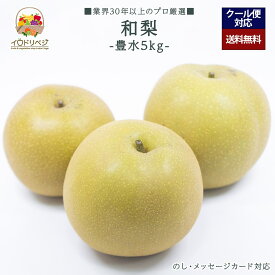 【2026年出荷予定】「厳選」旬の和梨 5kgセット ★豊水 梨★【レビュー 特典】贈り物 ギフト プレゼント ありがとう お祝い 内祝い 結婚 誕生日
