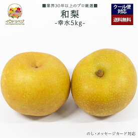【2026年出荷予定】「厳選」旬の和梨 5kgセット ★幸水 梨★【レビュー 特典】贈り物 ギフト プレゼント ありがとう お祝い 内祝い 結婚 誕生日
