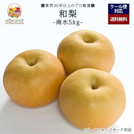 【2026年出荷予定】「厳選」旬の和梨 5kgセット ★南水 梨★【レビュー 特典】贈り物 ギフト プレゼント ありがとう お祝い 内祝い 結婚 誕生日