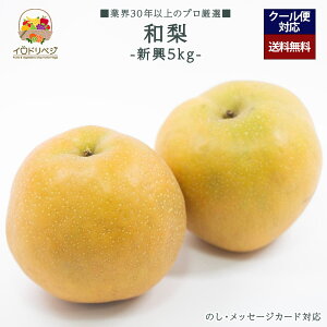 y2025Noח\zuIv{̘a 5kgZbg V yr[ Tz蕨 Mtg v[g 肪Ƃ j j  a