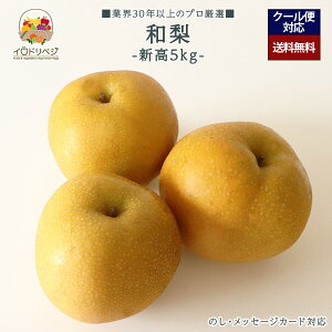 y2025Noח\zuIv{̘a 5kgZbgV yr[ Tz蕨 Mtg v[g 肪Ƃ j j  a