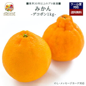 y2026Noח\zuIvfR| 1kgZbg 3`5 YnIyr[ Tz蕨 Mtg v[g 肪Ƃ j j  a ii G { ʕ t[