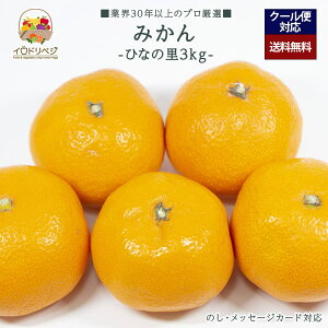 y2026Noח\zuIvuh݂ 3kgZbg ЂȂ̗yr[ Tz蕨 Mtg v[g 肪Ƃ j j  a ii G { ʕ t[c 