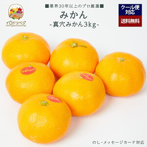 y2026Noח\zuIvuh݂ 3kgZbg ^ ݂񁚁yr[ Tz蕨 Mtg v[g 肪Ƃ j j  a ii G { ʕ t[