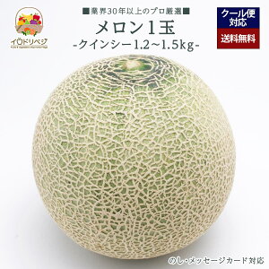 y2026Noח\zuIvuh  1 1.2kg`1.5kg NCV[ yr[ Tz蕨 Mtg v[g 肪Ƃ j j  a