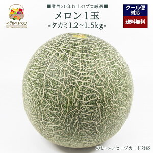 y2026Noח\zuIvuh  1 1.2kg`1.5kg ^J~ yr[ Tz蕨 Mtg v[g 肪Ƃ j j  a