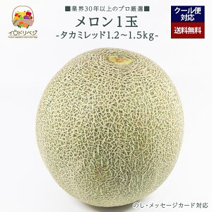 【2026年出荷予定】「厳選」こだわりブランド メロン 1玉 1.2kg〜1.5kg ★タカミレッド★【レビュー 特典】贈り物 ギフト プレゼント ありがとう お祝い 内祝い 結婚 誕生日