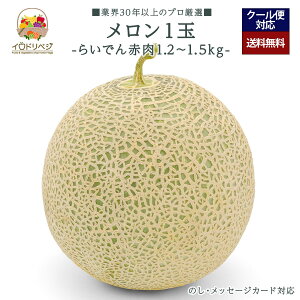 y2026N \tzuIvuh  1 1.2kg`1.5kg 炢ł  ԓ 蕨yr[ Tz蕨 Mtg v[g 肪Ƃ j j  a