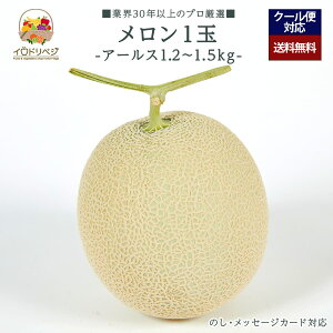 y2026N \tzuIvuh  1 1.2kg`1.5kg A[X  蕨yr[ Tz蕨 Mtg v[g 肪Ƃ j j  a