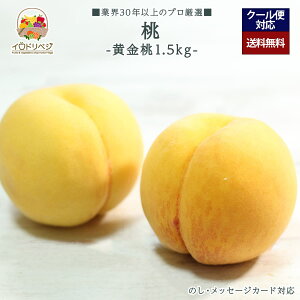 y2026Noח\zuIv蓍 1.5kgZbg 4`6 yr[ Tz蕨 Mtg v[g 肪Ƃ j j  a
