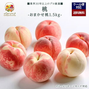 y2026Noח\zuIv蓍 1.5kgZbg 4`6 ܂{̕i큚yr[ Tz蕨 Mtg v[g 肪Ƃ j j  a