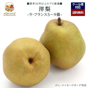 y2025Noח\zuIvm 5`9Zbg EtXyr[ Tz蕨 Mtg v[g 肪Ƃ j j  a