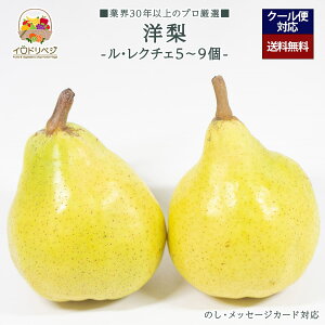y\tzuIvm 5`9Zbg EN`Fyr[ Tz蕨 Mtg v[g 肪Ƃ j j  a