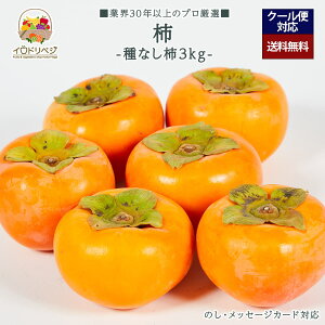 y2025N \tzuIvȂ ` 3kgZbg YnIyr[ Tz蕨 Mtg v[g 肪Ƃ j j  a