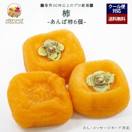 【今期 予約受付中】「厳選」こだわり干し柿 6個セット ★あんぽ柿★【レビュー 特典】贈り物 ギフト プ…