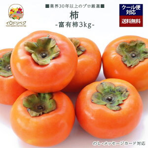 y2025N \tzuIv` 3kgZbg xL `yr[ Tz蕨 Mtg v[g 肪Ƃ j j  a