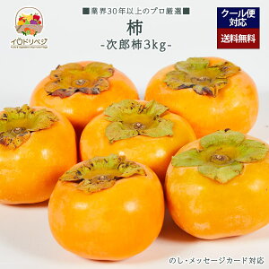 y2025N \tzuIv` 3kgZbg Y `yr[ Tz蕨 Mtg v[g 肪Ƃ j j  a
