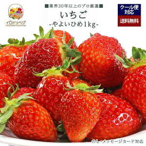 y2026Noח\zuIvC`S 1kgZbg 48`90O ʌY 悢Ђ߁yr[ Tz蕨 Mtg v[g 肪Ƃ j j  a ii G { 