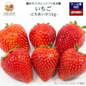 【今期 予約受付中】「厳選」こだわりイチゴ 1kgセット 48〜90個前後 ★栃木県産 とちあいか★【レビュー 特典】贈り物 ギフト プレゼント ありがとう お祝い 内祝い 結婚 誕生日 景品 季節 旬 果物 フルーツ いちご おしゃれ