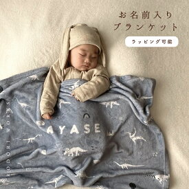 【お名前入り】通年用　やわふわ ブランケット　出産祝い　 ベビー　キッズ　名入れ ポエステル約65×90cm　恐竜　ダイナソー 赤ちゃん ブランケット 薄手 ベビー ギフト 名入れ ひざかけ 冷房対策 ベビーケット　入園　 保育園 幼稚園 　女の子 男の子 5000円