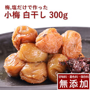 ~ ~  300gIB~ ~ ߂ڂ ~ڂ  ̂   Mtg v[g 蕨  a̎R ۑ F Y _ ͔|Ԓ:_sgp ʂ艮 