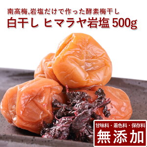 썂~ ~  500g q}≖gpIB썂~ ~ ߂ڂ ~ڂ  ̂  Mtg v[g 蕨 a̎R ۑ F Y _ ͔|Ԓ:_sgp 