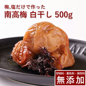 썂~ ~  500gIB썂~ ~ ߂ڂ ~ڂ  ̂   Mtg v[g 蕨 a̎R ۑ F Y _ ͔|Ԓ:_sgp ʂ艮 