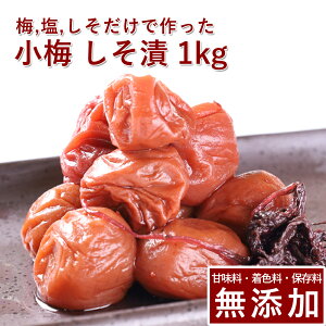 ~ ~  1kgIB~ ~ ߂ڂ ~ڂ Ђ hЂ    Mtg v[g 蕨 a̎R ۑ F Y _ ͔|Ԓ:_sgp ʂ艮 