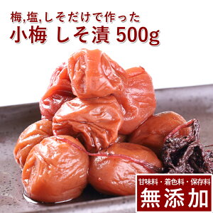 ~ ~  500gIB~ ~ ߂ڂ ~ڂ Ђ hЂ    Mtg v[g 蕨 a̎R ۑ F Y _ ͔|Ԓ:_sgp ʂ艮 