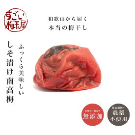 南高梅 梅干し しそ漬 1kg紀州南高梅 梅干 うめぼし 梅ぼし しそ漬け 紫蘇漬け しそ 減塩 送料無料 ギフト プレゼント 贈り物 和歌山 保存料 着色料 無添加 無農薬 栽培期間中:農薬不使用 彩り屋 すごい梅干し屋