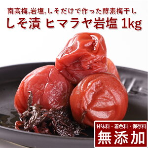 썂~ ~  1kg q}≖gpIB썂~ ~ ߂ڂ ~ڂ Ђ yf   Mtg v[g 蕨 a̎R ۑ F Y _ ͔|Ԓ:_s