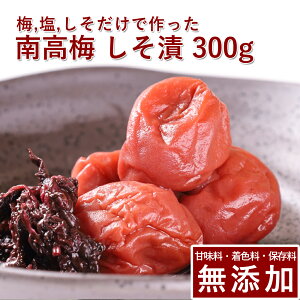 썂~ ~  300gIB썂~ ~ ߂ڂ ~ڂ Ђ hЂ    Mtg v[g 蕨 a̎R ۑ F Y _ ͔|Ԓ:_sgp 