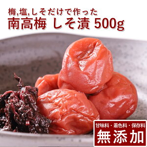 썂~ ~  500gIB썂~ ~ ߂ڂ ~ڂ Ђ hЂ    Mtg v[g 蕨 a̎R ۑ F Y _ ͔|Ԓ:_sgp 