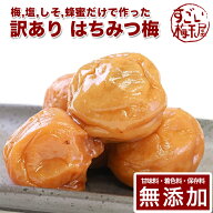訳あり 紀州 南高梅 梅干し はちみつ 無添加 梅干し用 通販 ギフト 国産 塩分 梅干 うめぼし 人気 はちみ…