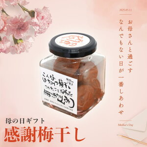 yŒZzIz̓ Ӕ~ ݂͂ _ Y 썂~ r 100g Pi p ~ F̂J 蕨 Mtg v[g  ~