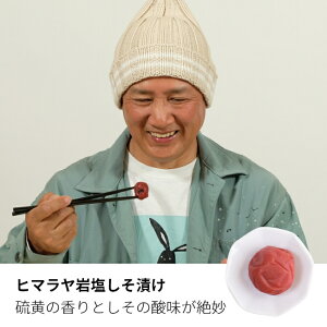 yŒZzIzӔ~ 썂~ r 100g Pi p Əj AEj wj CjȂǂɂ ~ F̂J 蕨 Mtg v[g 