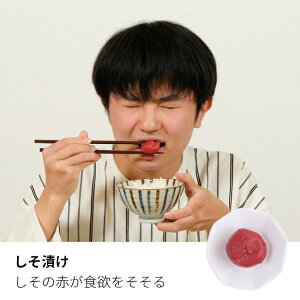 y10%OFFzyŒZzIzӔ~ 썂~ r 100g Pi p Əj AEj wj CjȂǂɂ ~ F̂J 蕨 Mtg v[g yyVX[p[Z[