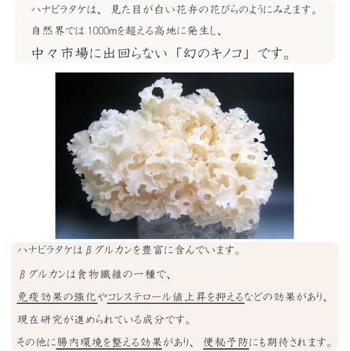 楽天市場】焙煎はなびらたけ茶 30g 無農薬 無添加のオーガニック商品 
