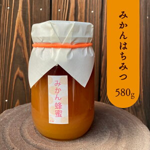 ݂ ݂͂ 580g I n`~c ~J  ݂I VR Y {Y  M Mtg p   r nj[  ʂ艮