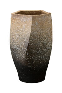 P  My 31-03 P JXj Vzj zj 蕨 Mtg v[g ֎[ ֐ ʂ艮