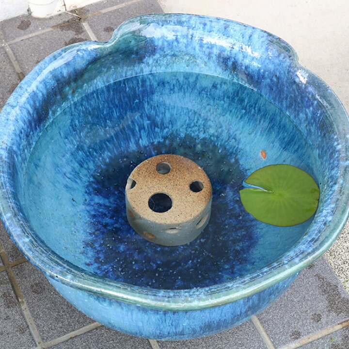 楽天市場】睡蓮鉢 メダカ鉢 めだかハウス 茶ぼかし 信楽焼 めだか鉢 