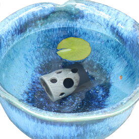 楽天市場 メダカ 鉢 熱帯魚 アクアリウム ペット ペットグッズ の通販