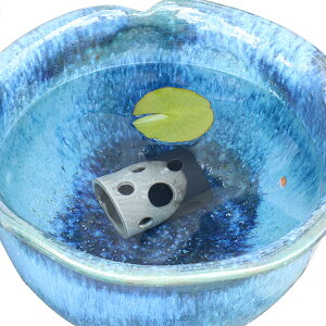 @ _J ߂nEX^  My ߂    _J  ANAE ʂ艮