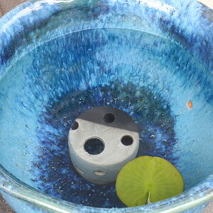 @ _J ߂nEX  My ߂    _J  ANAE ʂ艮